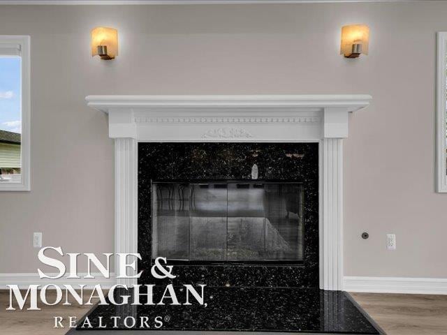 detailed view of wood finished floors, baseboards, and a premium fireplace