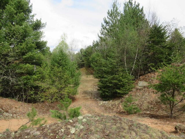TBD Dunham Rd, Marenisco, MI 49947