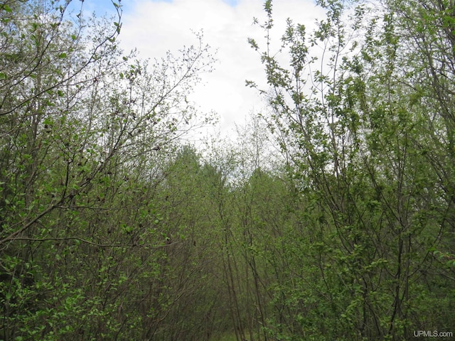 TBD Dunham Rd, Marenisco, MI 49947