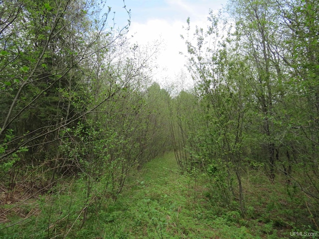 TBD Dunham Rd, Marenisco, MI 49947