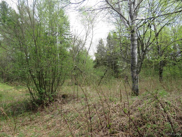 TBD Dunham Rd, Marenisco, MI 49947