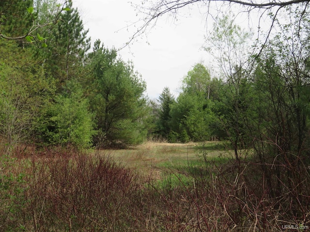 TBD Dunham Rd, Marenisco, MI 49947