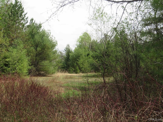 TBD Dunham Rd, Marenisco, MI 49947