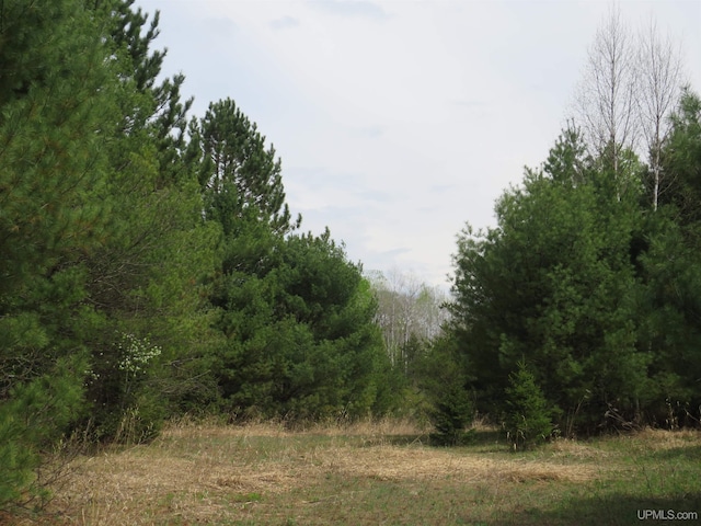 TBD Dunham Rd, Marenisco, MI 49947