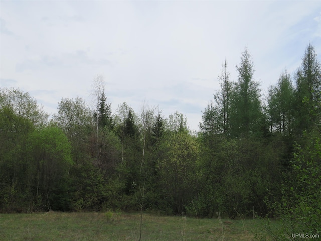 TBD Dunham Rd, Marenisco, MI 49947