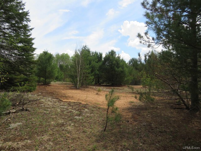 TBD Dunham Rd, Marenisco, MI 49947