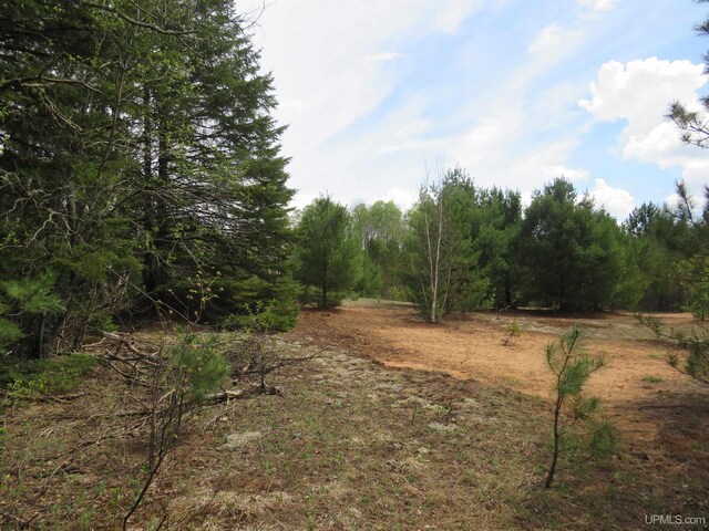 TBD Dunham Rd, Marenisco, MI 49947