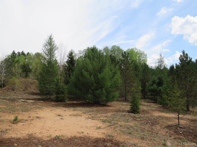 TBD Dunham Rd, Marenisco, MI 49947