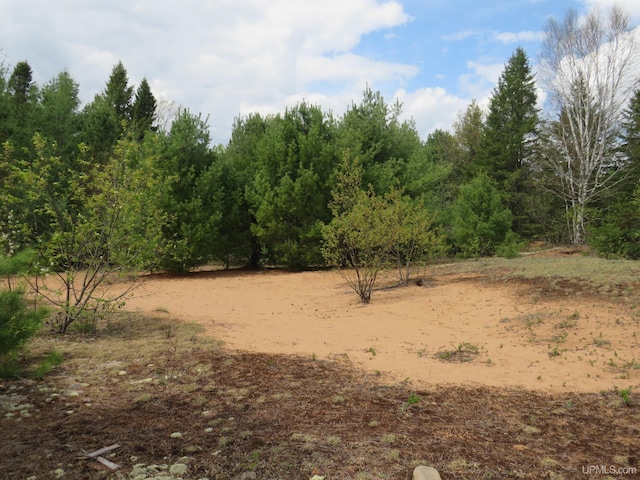 TBD Dunham Rd, Marenisco, MI 49947