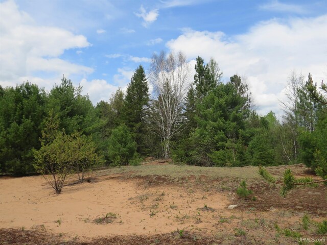 TBD Dunham Rd, Marenisco, MI 49947