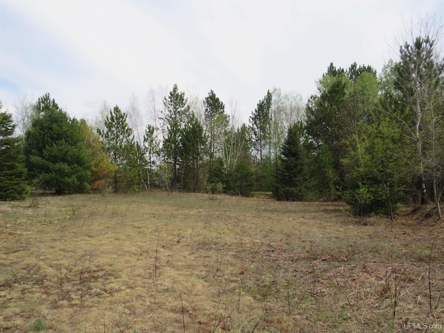 TBD Dunham Rd, Marenisco, MI 49947