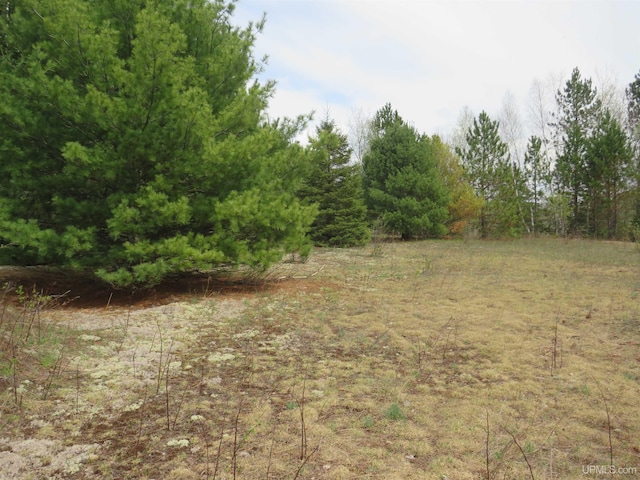 TBD Dunham Rd, Marenisco, MI 49947