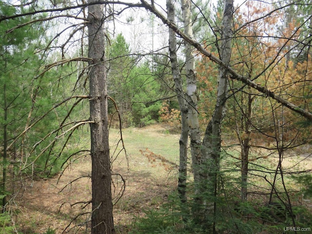 TBD Dunham Rd, Marenisco, MI 49947