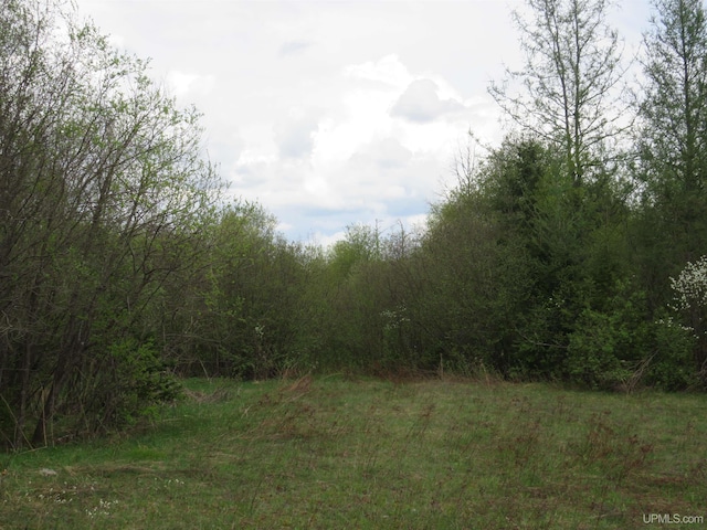 TBD Dunham Rd, Marenisco, MI 49947