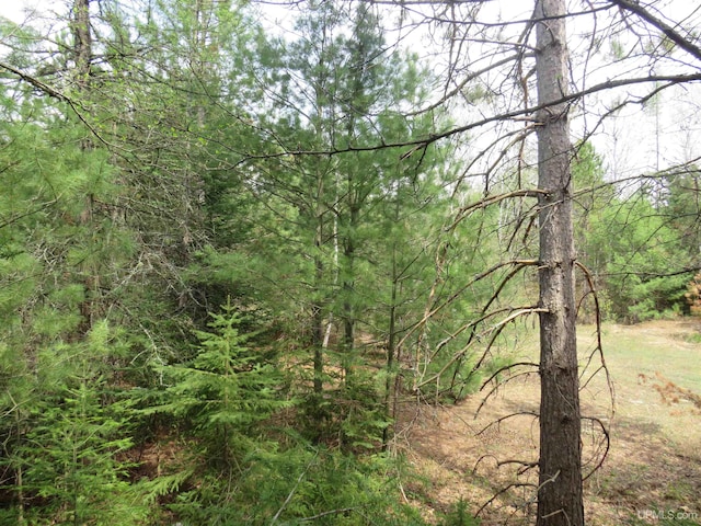 TBD Dunham Rd, Marenisco, MI 49947