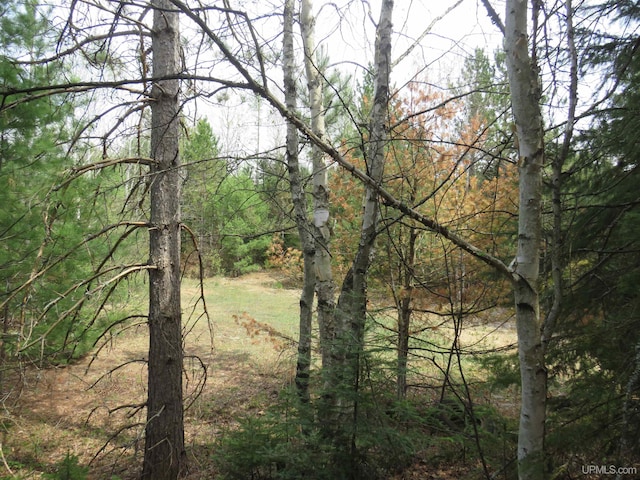 TBD Dunham Rd, Marenisco, MI 49947