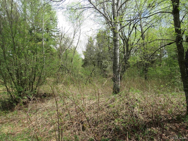 TBD Dunham Rd, Marenisco, MI 49947