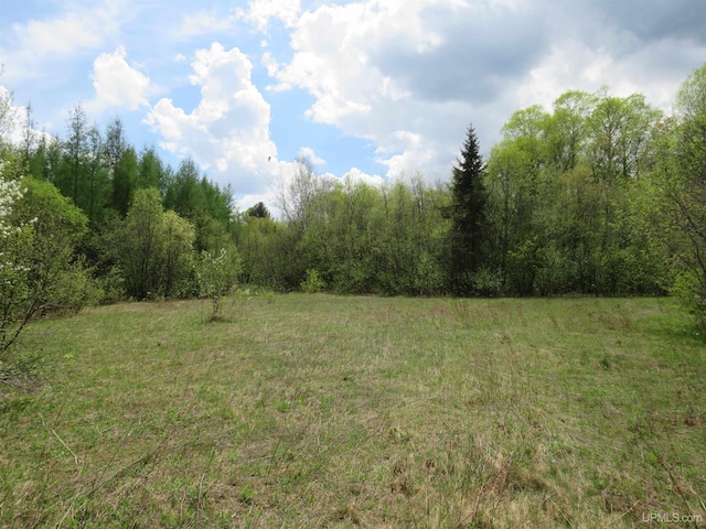 TBD Dunham Rd, Marenisco, MI 49947