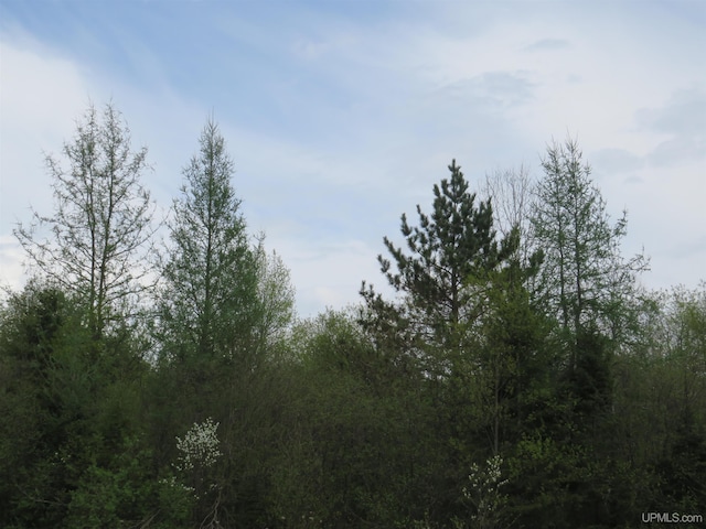 TBD Dunham Rd, Marenisco, MI 49947