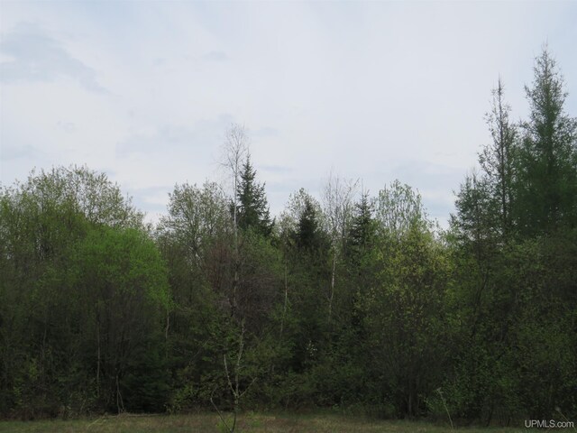 TBD Dunham Rd, Marenisco, MI 49947