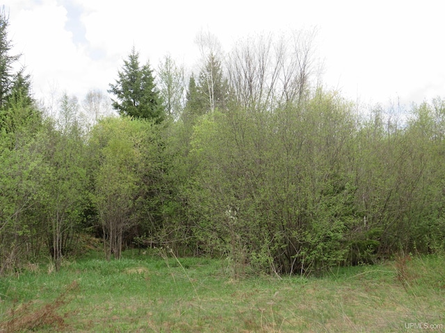TBD Dunham Rd, Marenisco, MI 49947