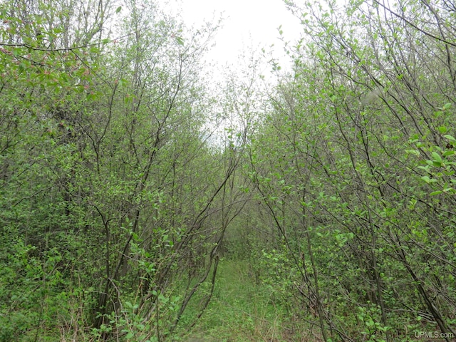 TBD Dunham Rd, Marenisco, MI 49947