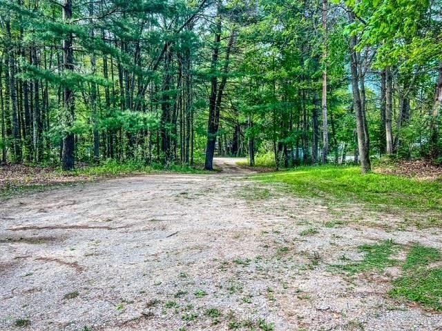 601 N Scott Dr, Farwell, MI 48622 - view of woods