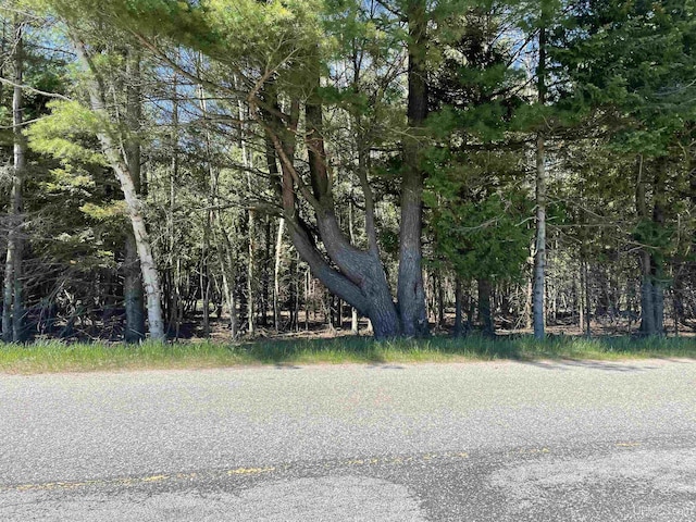 TBD Little Harbor Rd, Manistique, MI 49854