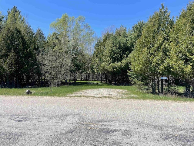 TBD Little Harbor Rd, Manistique, MI 49854