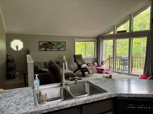 2913 W Howard Rd, Beaverton, MI 48612 - kitchen featuring a sink, crown molding, dishwasher, lofted ceiling, and light countertops