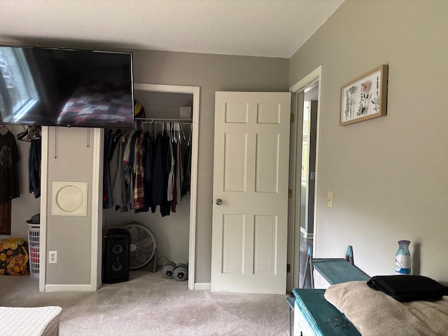 2913 W Howard Rd, Beaverton, MI 48612 - bedroom with carpet flooring, a closet, and baseboards