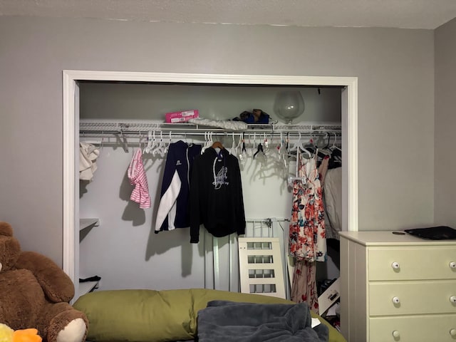 2913 W Howard Rd, Beaverton, MI 48612 - view of closet