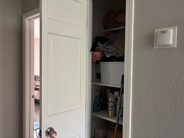 2913 W Howard Rd, Beaverton, MI 48612 - view of closet