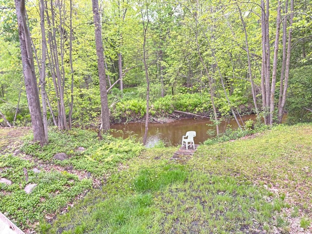 2913 W Howard Rd, Beaverton, MI 48612 - view of yard