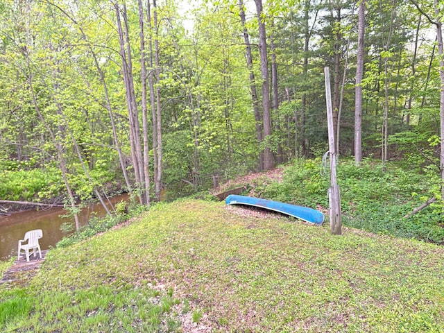 2913 W Howard Rd, Beaverton, MI 48612 - view of yard featuring a forest view