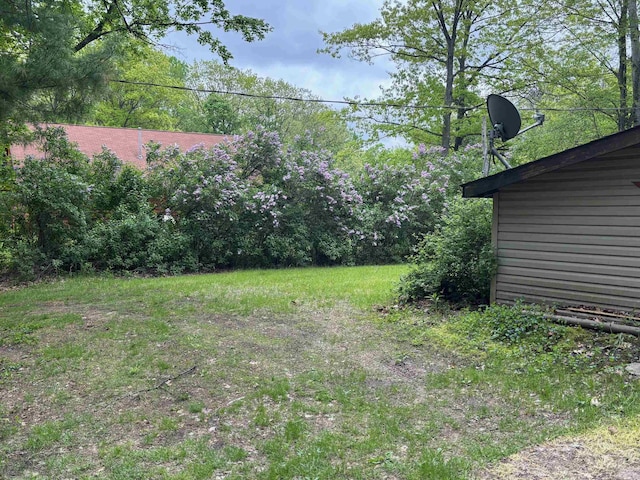 2913 W Howard Rd, Beaverton, MI 48612 - view of yard