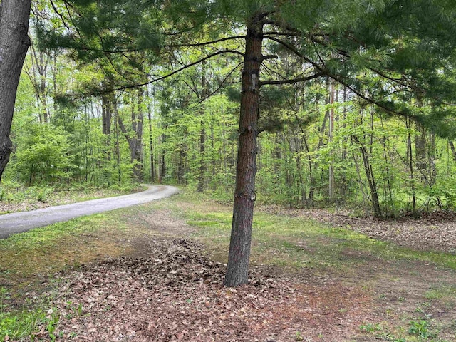 2913 W Howard Rd, Beaverton, MI 48612 - view of road with a forest view