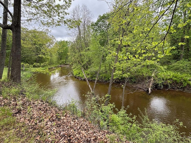 2913 W Howard Rd, Beaverton, MI 48612 - water view with a forest