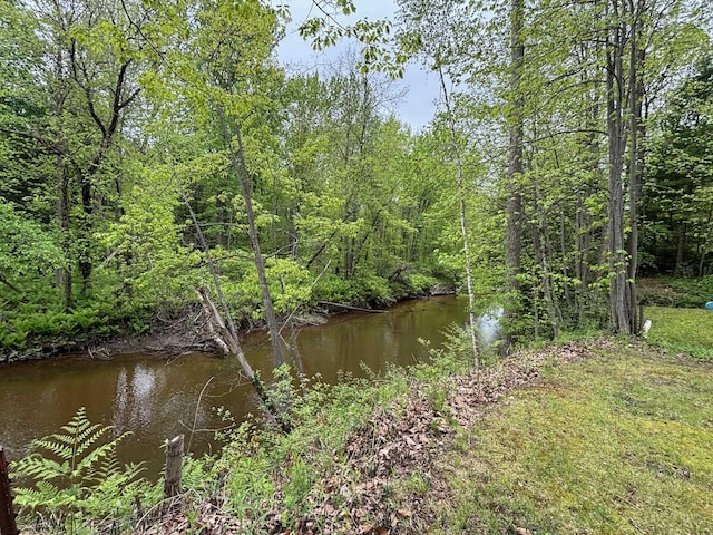 2913 W Howard Rd, Beaverton, MI 48612 - water view