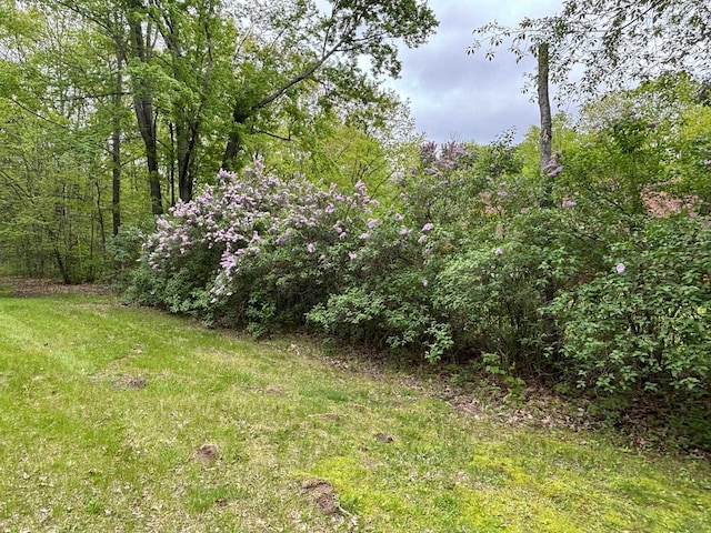2913 W Howard Rd, Beaverton, MI 48612 - view of yard featuring a forest view