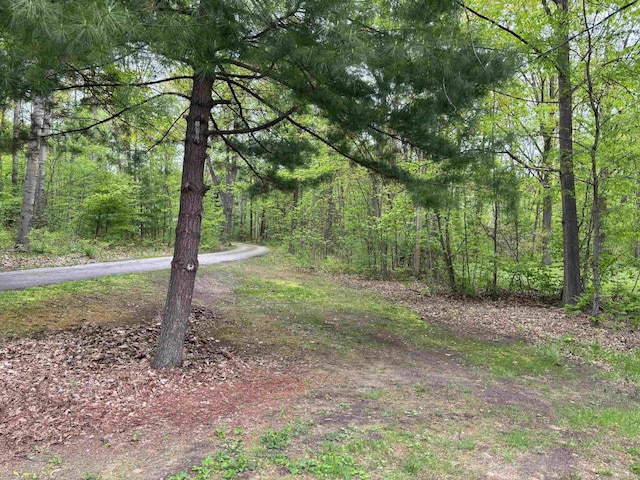2913 W Howard Rd, Beaverton, MI 48612 - view of yard with a view of trees