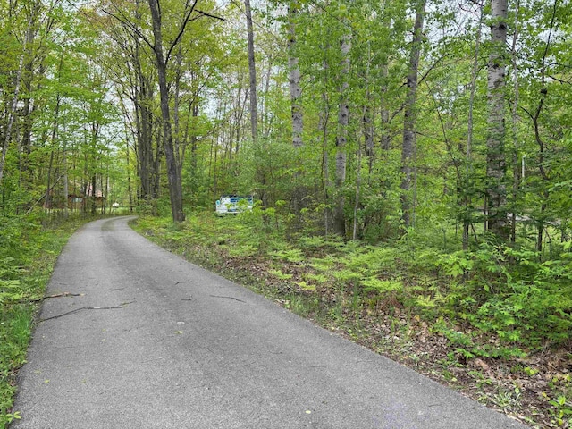 2913 W Howard Rd, Beaverton, MI 48612 - view of road featuring a wooded view