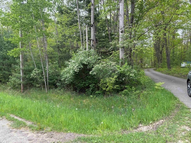 2913 W Howard Rd, Beaverton, MI 48612 - view of road with a wooded view