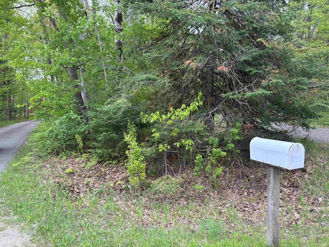 2913 W Howard Rd, Beaverton, MI 48612 - exterior view of a forest