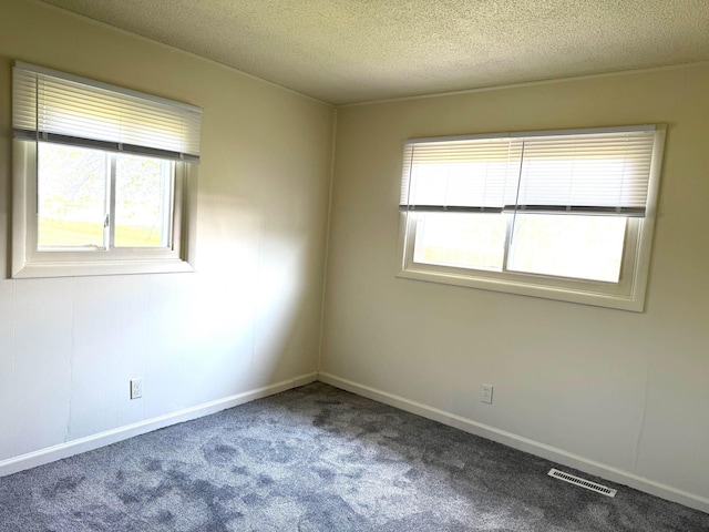 7161 W Sterling Rd, Sterling, MI 48659 - unfurnished room featuring carpet floors, plenty of natural light, a textured ceiling, and baseboards