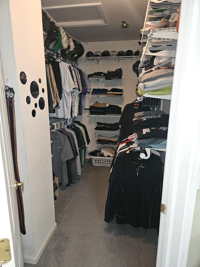 4324 Clear Creek Ct, Oakland Twp, MI 48306 - spacious closet featuring attic access and carpet flooring