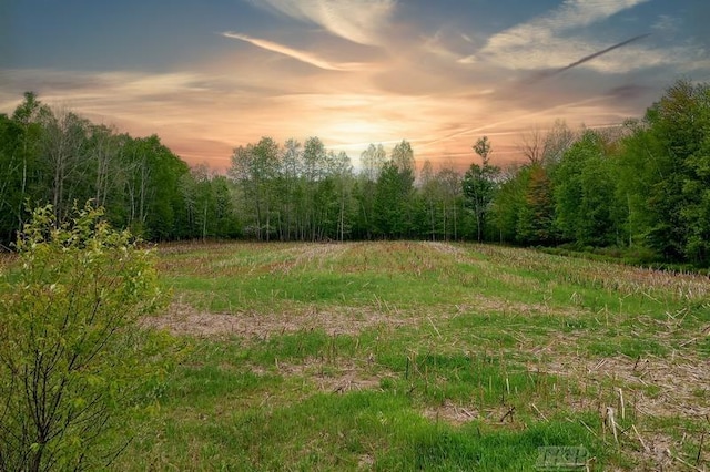 58ACRES NE County Line Rd, Coleman, MI 48618