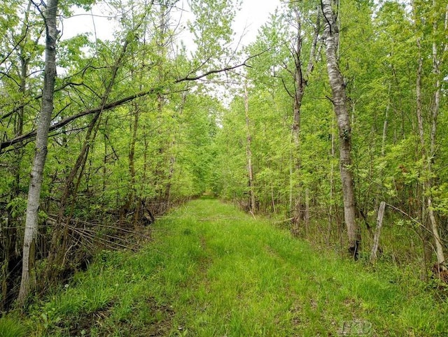 58ACRES NE County Line Rd, Coleman, MI 48618