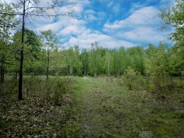 58ACRES NE County Line Rd, Coleman, MI 48618