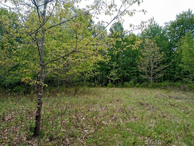 58ACRES NE County Line Rd, Coleman, MI 48618
